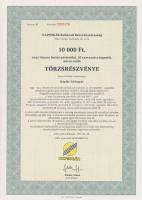 Csurgó 1997. "Napsugár Ruházati Részvénytársaság" törzsrészvénye 1000Ft, 10.000Ft, 50.000F...