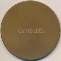 DN "Kutató Tárlat Szentes" Br emlékplakett (81mm) T:2