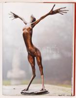 Nagy T. Katalin: Csíkszentmihályi Róbert. A Szentendrei Művészportrék sorozat Műhelybeszélgetése ala...