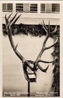Jagdausstellung 1937 Foto-AK