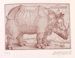 Simon László dr.(sorozat szerk.):Abrecht Dürer és kora / and his age. I. Miksa császár diadalmenete....