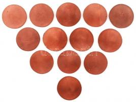 Ifj. Szlávits László (1959-) DN "Aradi Vértanúk" 13db klf Cu emlékérem (39-40mm) T:1-,2