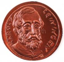 Ifj. Szlávits László (1959-) DN "Aradi Vértanúk" 13db klf Cu emlékérem (39-40mm) T:1-,2