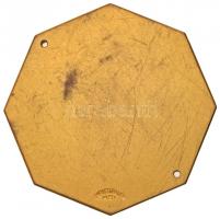 Ausztria 1936. "Osztrák Autó Klub Téli Túra 1936" aranyozott Br emlékplakett, "CHRIST...