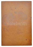 Róna József (1861-1939) 1911. "Országos Magyar Képzőművészeti Társulat" Br plakett (88x60,...