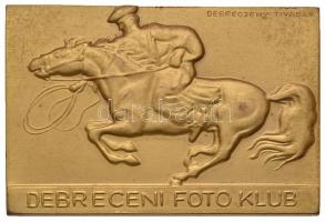 Debreczeny Tivadar (1890-1976) 1939. "Debreceni Foto Klub" aranyozott Br emlékplakett (74x49,5mm) T:2 Hungary 1939. "Debrecen Foto Klub" gold plated Br plaque. Sign.:Debreczeny Tivadar (74x49,5mm) C:XF HPII 661.