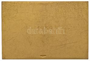 Debreczeny Tivadar (1890-1976) 1939. "Debreceni Foto Klub" aranyozott Br emlékplakett (74x...