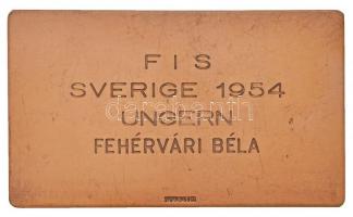 Svédország 1954. "Svéd Síszövetség / FIS (Nemzetközi Sí Szövetség) Svédország 1954 Magyarország...