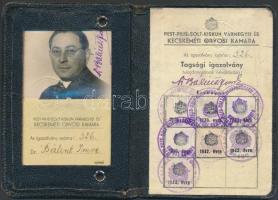 1938 a Pest-Pilis-Solt-Kiskun vármegyei és Kecskeméti Orvosi Kamara fényképes, kitöltött tagsági iga...