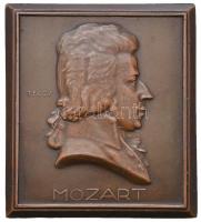 Telcs Ede (1872-1948) 1923. "Mozart" Br plakett (160g/61,5x55mm) T:2 ph. Hungary 1923. "Mozart" Br plaque. Sign.: Ede Telcs (160g/61,5x55mm) C:XF edge error HP 6155.