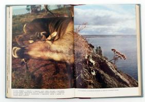 Jan Kozák: A tajgán vadásztam. Fordította: Hubik István. Budapest, 1977, Gondolat. Újrakötve, félvás...