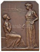 Ausztria 1908. "Első Nemzetközi Fül-Orr-Gégészeti Kongresszus Bécs 1908" Br plakett, "...