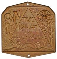 Ausztria 1936. "Osztrák Autó Klub - Jó vezetést a Jubileumi évben 1936" Cu plakett. Szign....