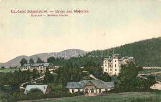 34 db RÉGI történelmi magyar városképes lap vegyes minőségben; erdélyi, kárpátaljai, vajdasági / 34 ...