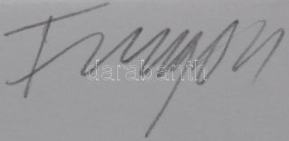 Farsang Sándor (1945-): Kirakat. Rézkarc, merített papír, jelzett, 39×29 cm