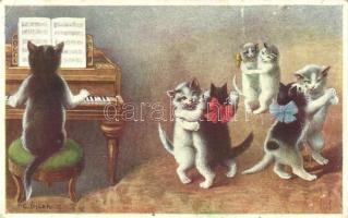 Cats, dance, B.K.W.I. 315-2. s: C. Ohler (fa)