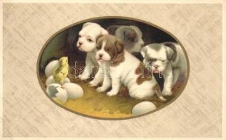 Puppies, eggs, chicken, litho (EK)