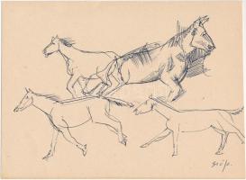 Szőnyi Jenő (1902-?): Lovak vázlatrajzok (4db). Tus-filc, papír, jelzett, 22×16 cm