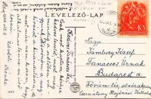 Pilis, Báró Nyáry Gyula kastélya, kiadja Gremsperger István dohányárudája