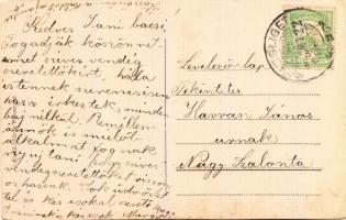 Budapest XVII. Rákosliget, Állami iskola; kiadó Török Ferenczné (fl)