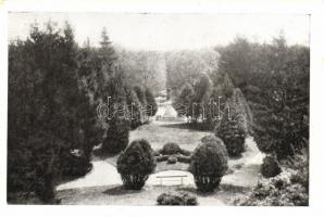 Gödöllő - 5 db városképes lap