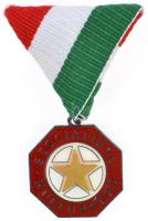 ~1970. "A Szocialista Kultúráért" zománcozott fém kitüntetés mellszalagon eredeti tokban T:1-,2