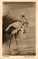 17 db RÉGI balatoni városképes lap, vegyes minőségű / 17 old Hungarian postcards, Lake Balaton, mixe...