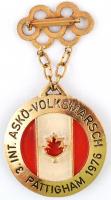 Ausztria 1976. "Montreali Olimpia / 3. Nemzetközi Volksmarch (gyaloglás) Pattigham" aranyo...