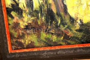 Olvashatatlan jelzéssel: Vitorlás a tó parton. Olaj, farost, festék hibák, sérült keretben, 50×60 cm