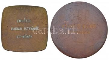 1965. "Magyar Műszeripari Kutatóintézet tizenöt éves fennállására 1950-65" Br emlékplakett...