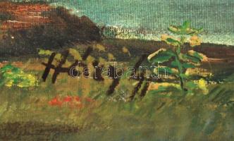 Háry jelzéssel: Napfényes Itália, olaj, vászon, 64×59,5 cm