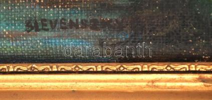 Slevenszky jelzéssel: Folyó partján, falu végén, olaj, vászon, díszes fa keretben, 29,5×39 cm