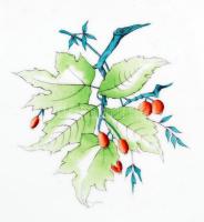 Herendi csipkebogyó mintás hiányos étkészlet, kézzel festett, jelzett, hibátlan, összesen:23 db