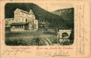 5 db RÉGI cseh városképes lap vegyes minőségben; Tetschen, Obergrund és Laube bei Tetschen / 5 old C...