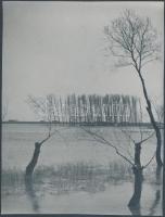1932 Szeged, Boszorkánysziget a Tisza áradásának idején, jelzetlen vintage fotó Kerny István (1879-1963) fotóművész hagyatékából, 17x23 cm