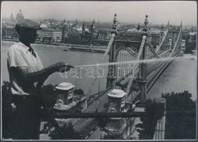 cca 1930 Budapest, a régi Erzsébet híd teljes pompájában, sajtófotó, németül feliratozva, 12x17 cm