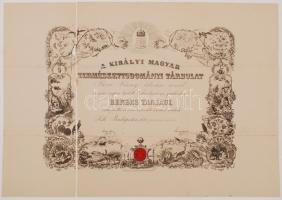 1894 A Kir. Magyar Természettudományi Társulat oklevele báró Vécsey István részére. Rendes taggá választásáról. Szétvált a hajtásoknál 46x63cm