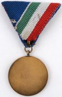 1956. "1954. évi dunai árvízvédelemért" aranyozott Br kitüntetés szalaggal T:2