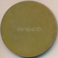 Ausztria 1970. "Rudolf Kirchschläger" Br emlékérem eredeti dísztokban. Szign.: Zilli (50mm...