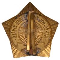 ~1970. "Katonai és Politikai Kiképzésben Kiváló" aranyozott, zománcozott Br jelvény T:2