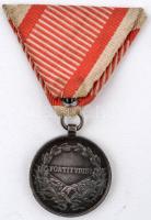 1917. Károly Ezüst Vitézségi Érem II. osztály "Fortitudini / IV. Károly" jelzett "A&q...