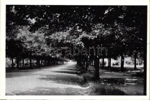 Gödöllő, Erzsébet királyné park; Kalántai photo, Storcz B. Mátyás dohánynagyárus kiadása