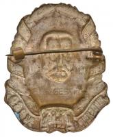 Osztrák-Magyar Monarchia 1917. "69. Hindenburg Gyalogezred" zománcozott fém sapkajelvény (...