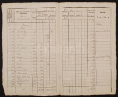 1849 Kivonat/ Auszug Telekadó Balatonszemes