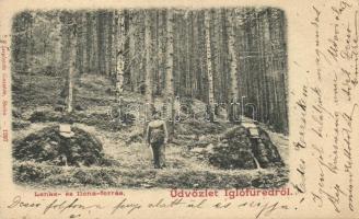 Iglófüred, Lenke és Ilona forrás; kiadja Waszlovits Gusztáv / springs, forest