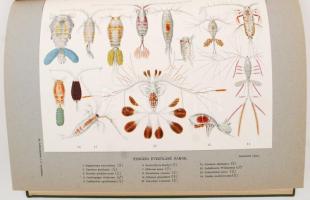 Entz Géza, Mágocsy-Dietz Sándor(szerk.) : A műveltség könyvtára - Az élők világa. I-II.kötet Növény-...