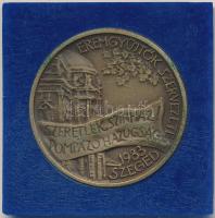 Tóth Sándor (1933-) 1983. "MÉE Szeged / Juhász Gyula" Br emlékérem (42,5mm) T:1,1-