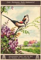 Gebr. Hartmann, Halle-Ammendorf, Druckfarbenfabriken / German Printing ink factory from Ammendorf, a...