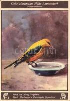 Gebr. Hartmann, Halle-Ammendorf, Druckfarbenfabriken / German Printing ink factory from Ammendorf, a...