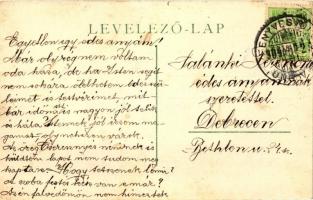 Fenyvesvölgy, Nyaraló telep / holiday resort